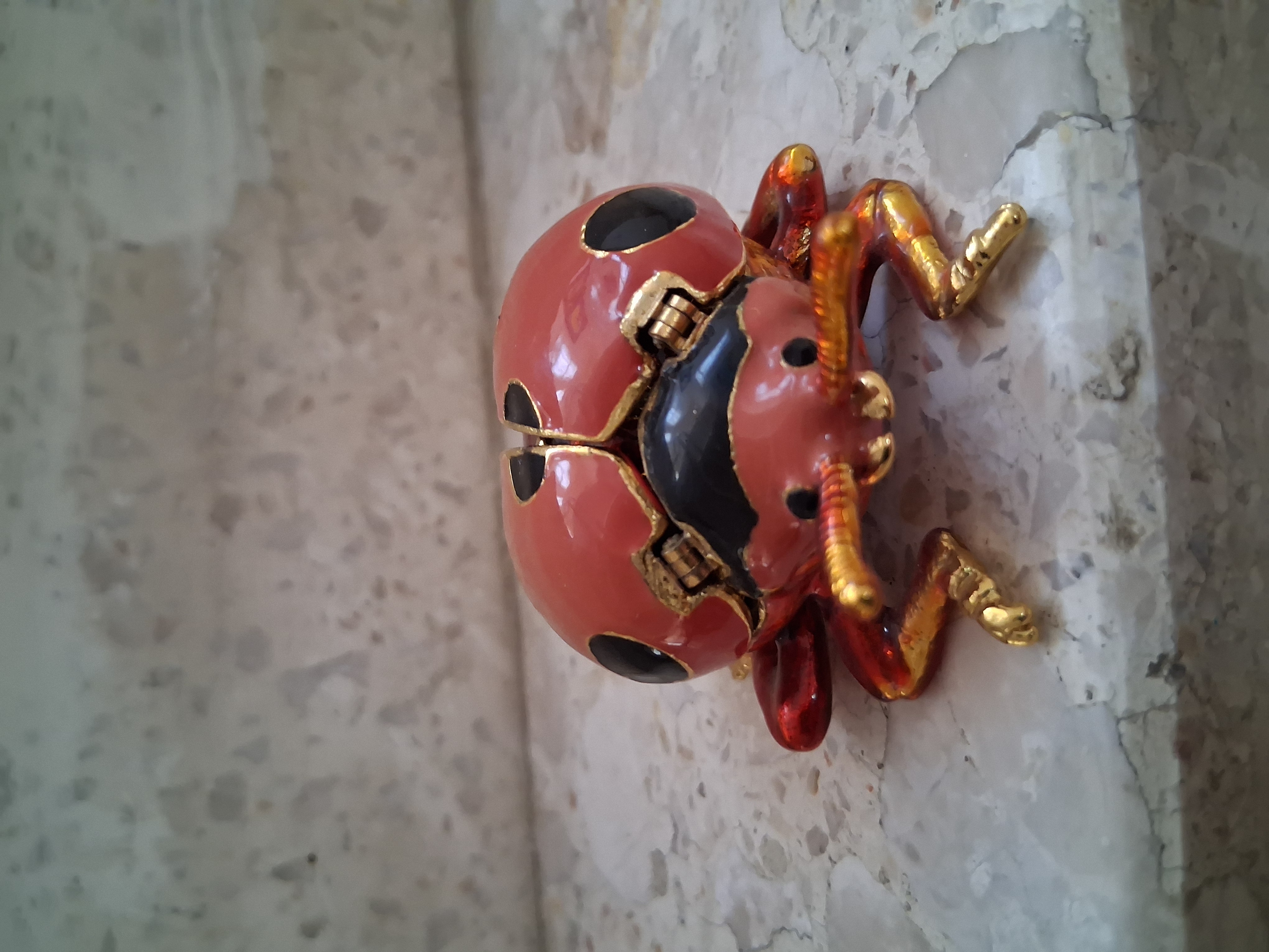 The little enamel ladybug that inspired the journey
